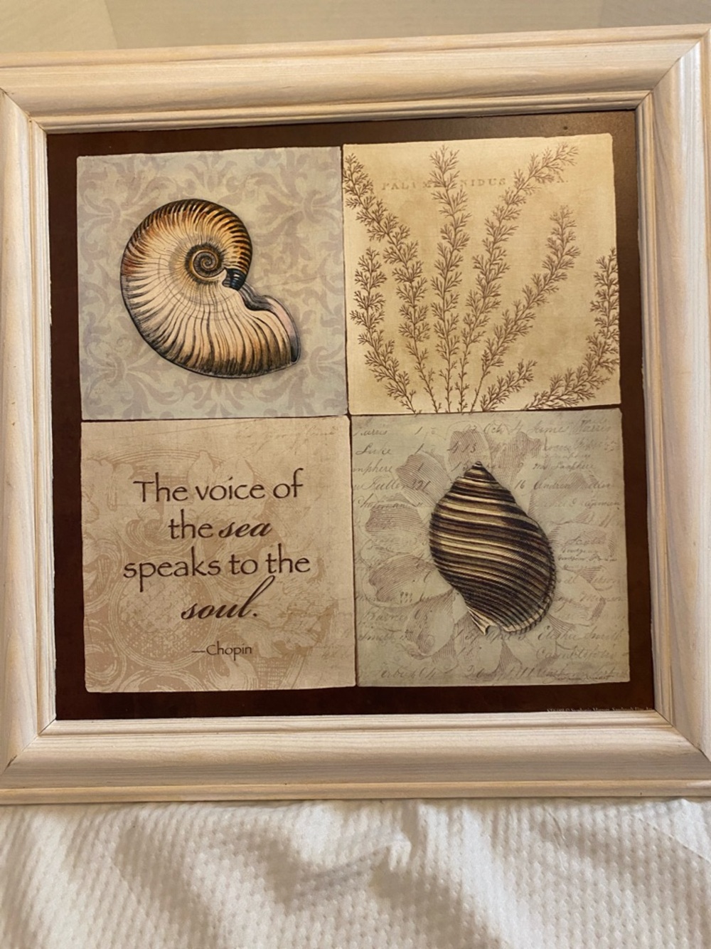 Stephanie Marrott Sea Shell Wall Art - with a Quote from Chopin
